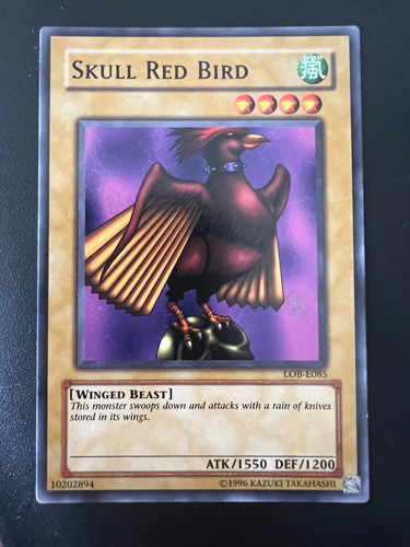 Totenkopf roter vogel lob e085 - vogel, lob-e085