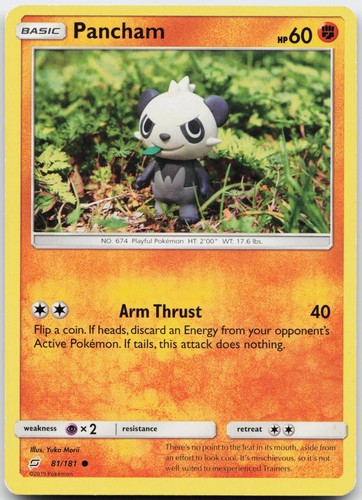 Pancham 181 teu team - team, up