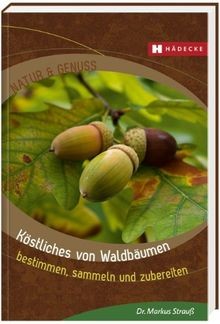 Köstliches von waldbäumen - köstliches,