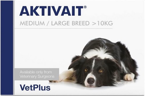 Aktivait hund blister großer - hund,